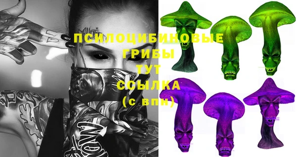 ECSTASY Алексин