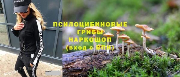 бутират Алексеевка